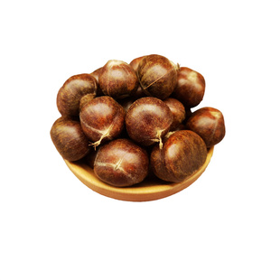2025迁西带皮生板栗新鲜燕山油粒野生鲜毛栗子遵化鲜板栗小甘粟子