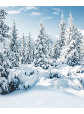 雪山冬天森林室内雪景拍照背景布