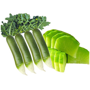 天津正宗沙窝萝卜水果萝卜5斤非潍坊绿青萝卜生吃新鲜先蔬菜现挖