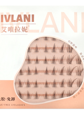艾唯拉妮免胶狐系假睫毛送试用装