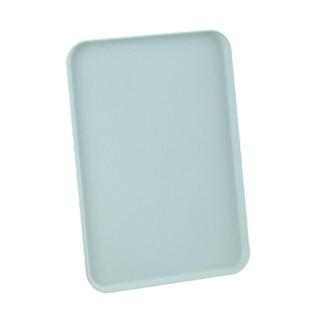 北欧长方形塑料水杯托盘客厅家用放茶杯ins茶盘餐盘大号水果盘子