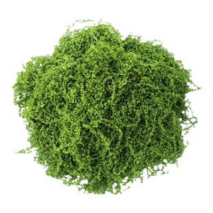 沙盘模型微缩仿真藤蔓爬山虎花藤枝条丝状苔藓草皮绿植装饰草坪