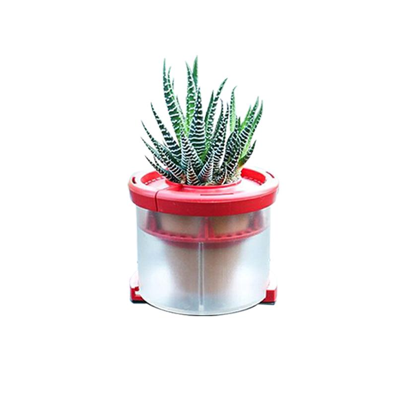 汽车植物摆件氧吧栽真花吸甲醛