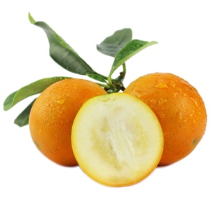 广西融安第三代脆蜜金柑 脆蜜金桔纯甜多汁当季现摘新鲜水果顺丰