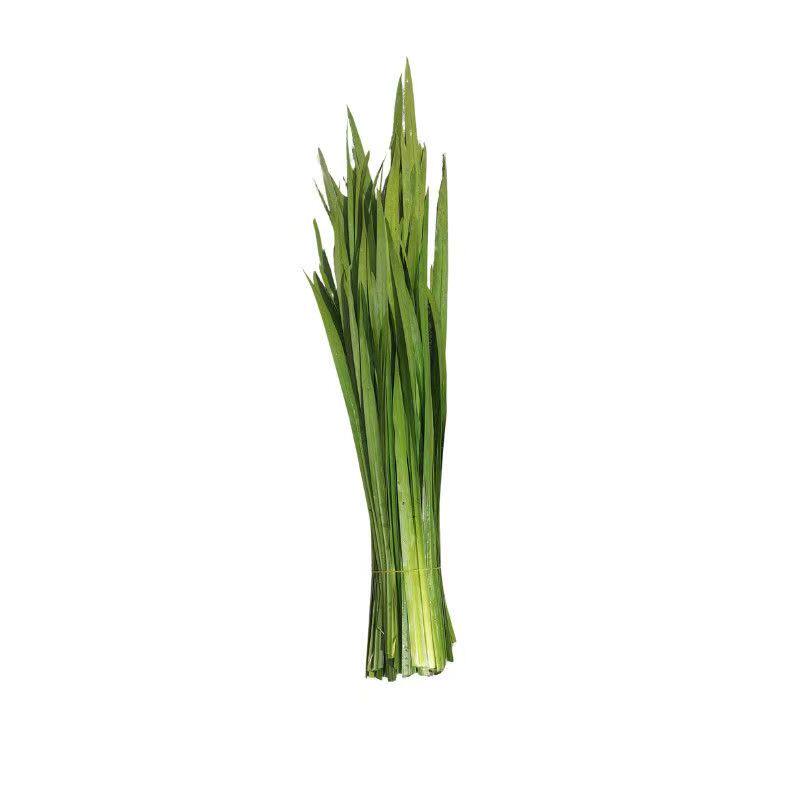 端午现采新鲜水菖蒲艾草防蚊包