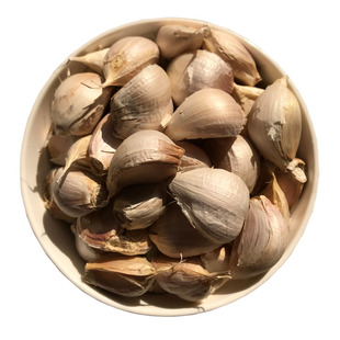 大蒜种子35斤山东兰陵特产苍山四六瓣老品种笨蒜地栽盆栽蒜苗青黄