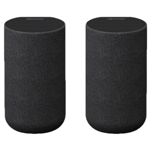 Sony/索尼 SA-RS5 真无线后环绕音箱 适用于A9000/A8000 回音壁