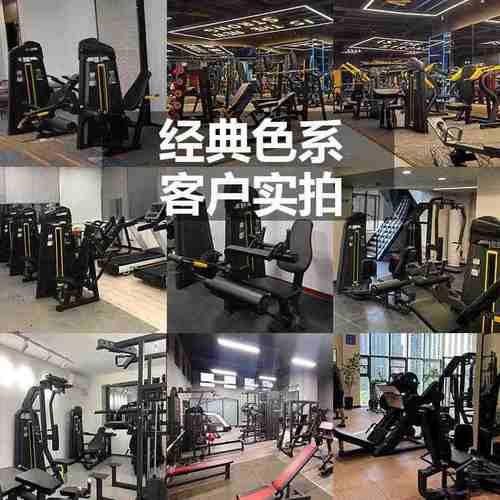 健身房商用磁控椭圆机 静音磁控健身车 家用椭圆仪走步机健身器材