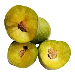 四川嫁接蜂糖李子树苗清脆李子树苗早晚熟五月脆南北方种植嫁当年