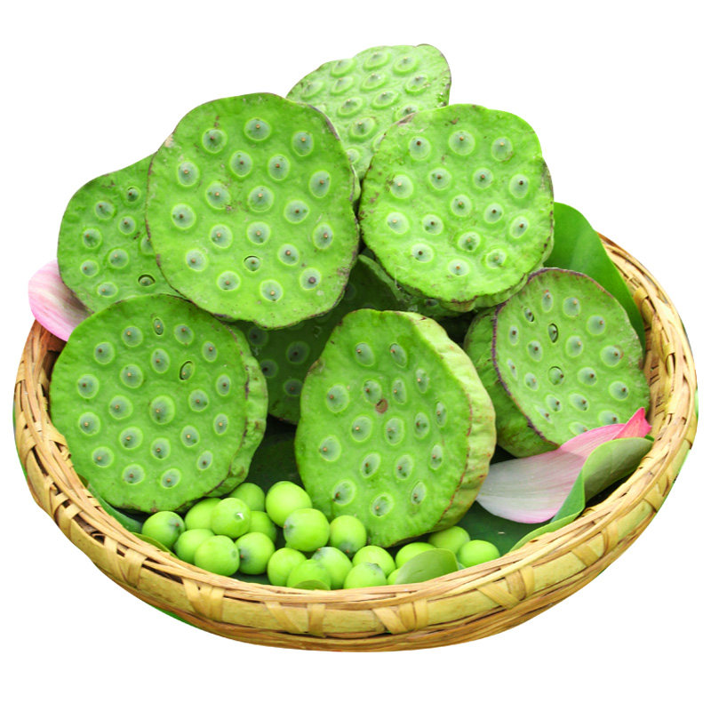 新鲜莲蓬现摘发货鲜香脆嫩