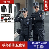 Демисезонный лонгслив, нарукавники, комплект, штаны