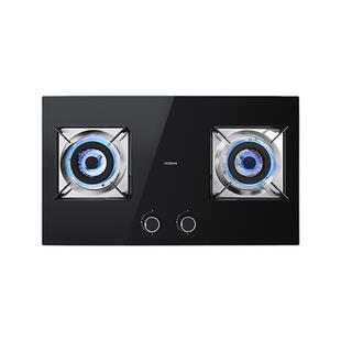 【小灶王】老板E1L/E1燃气灶煤气双灶台家用天然气官方旗舰店正品