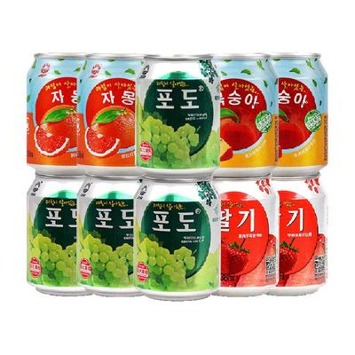 九日牌果汁饮料238ml×10罐