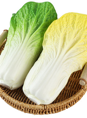 仿真白菜假大白菜水果早教学品