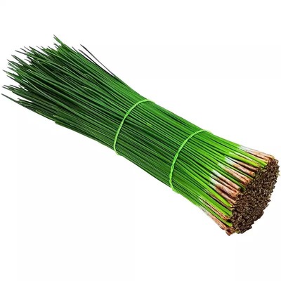 现摘先发纯野生新鲜松针茶松针粉