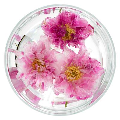 beutea玫瑰花冠茶平阴玫瑰疏肝