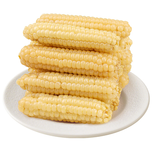 乡公馆云南西双版纳拇指香糯小玉米非转基因新鲜甜嫩手指玉米真空