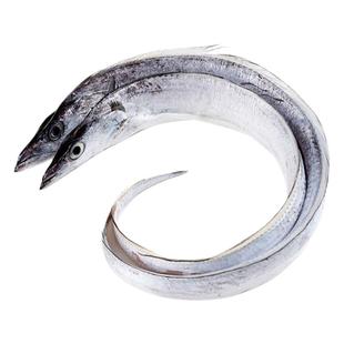 带鱼新鲜冷冻整箱10斤特级野生大中段整条礼盒一级小眼油渤海刀鱼