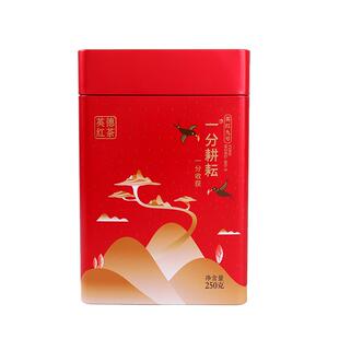 送礼自喝 拍一发2共500克广东英德红茶英红九号茶叶罐装英雄9号