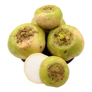 恰玛古新疆柯坪县新鲜蔬菜恰玛古强碱性食品调节酸碱平衡5斤包邮