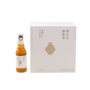 【体验专享】小山堂康普茶气泡水碳酸饮料230ml/瓶 多口味混合装