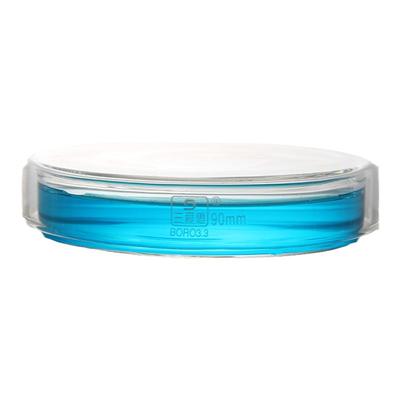 SAIEISE高硼硅微生物培养皿玻璃