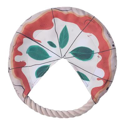 PawBridge狗狗玩具飞盘户外训练