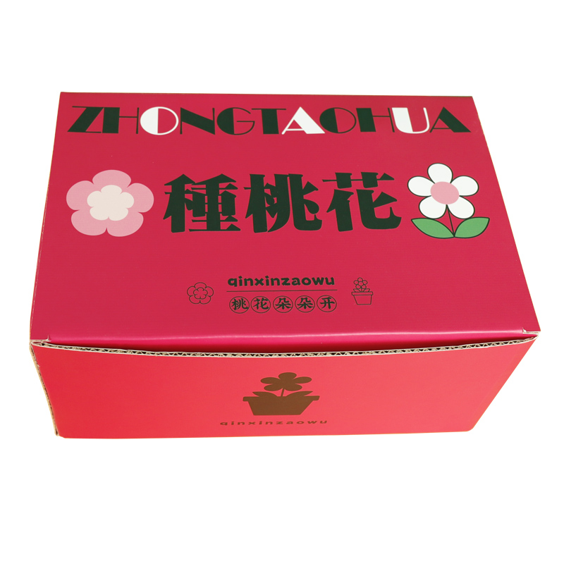 創(chuàng)意種桃花搞笑脫單送閨蜜男女朋友生日禮物DIY情人節(jié)搞笑禮品