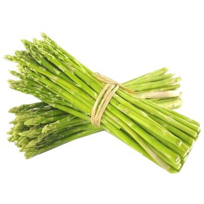 芦笋种孑籽四季苗阳台龙须菜