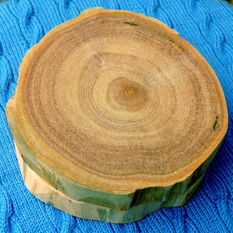 天然香樟木块木条 纯树根直接锯片 衣柜抽屉防虫蛀去异味