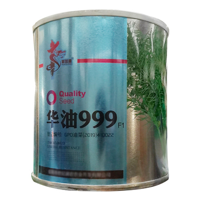 杂交高产大全四季早熟种孑油菜籽