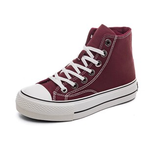 环球二棉鞋女款2025新款冬季高帮帆布鞋爆款板鞋女款秋冬加绒鞋子