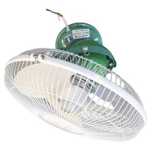长城顶扇FD30-2-65W圆周扇楼顶扇220V36V电风扇公司厂房行车配套