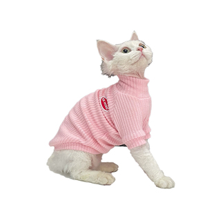 可爱T恤薄款春季新品无毛猫衣服斯芬克斯猫德文衣服纯棉