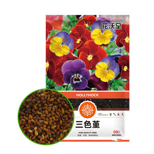 三色堇种子食用花卉菜籽蝴蝶花人面花猫脸花种子不耐热微耐寒矮生