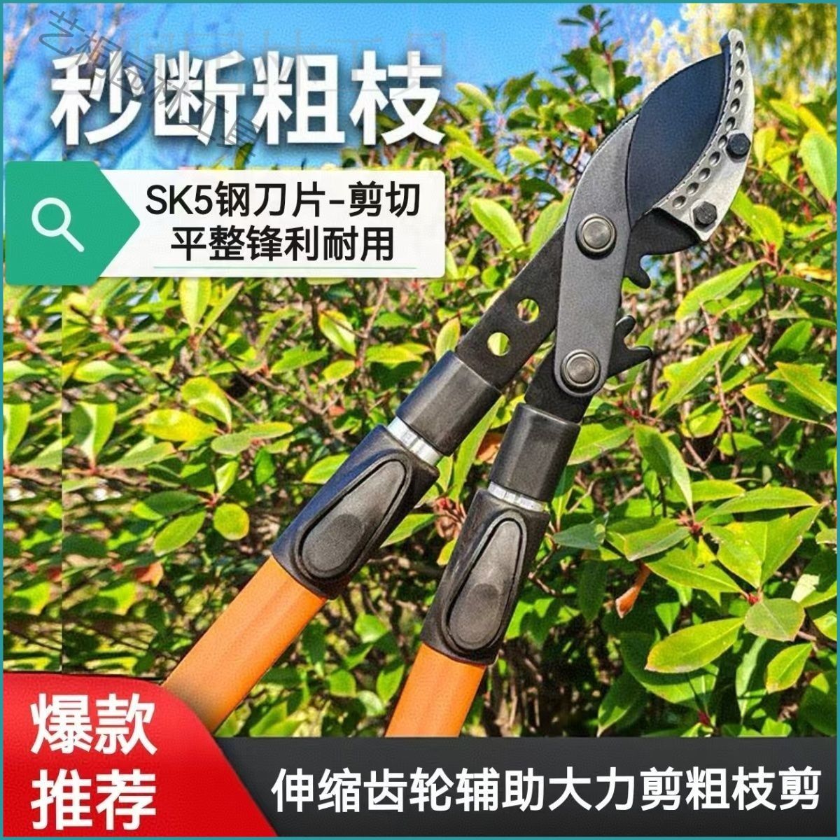 进口SK5钢材粗枝剪高枝剪子大力剪园林果树伸缩长柄修枝剪加长款