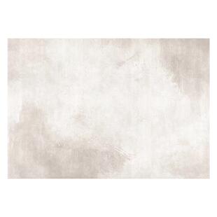 加厚地毯客厅奶油风2025新款免洗可擦免打理轻奢高级毛绒家用地垫