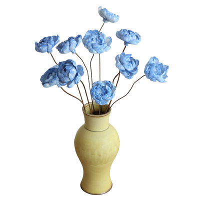 通草花永生花牡丹芍药莲花