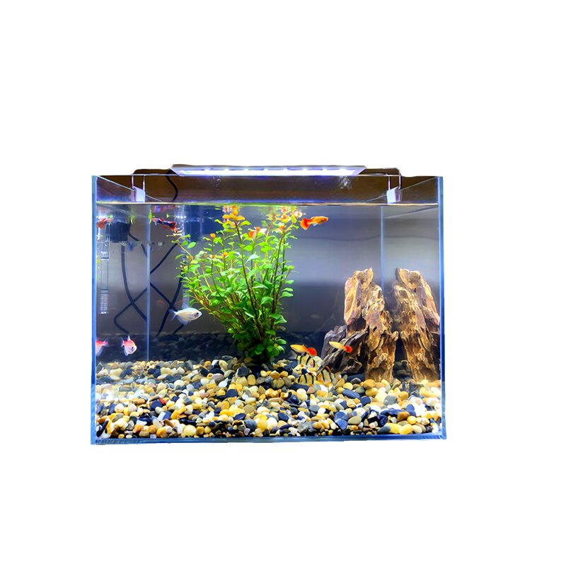 超白玻璃鱼缸小型客厅桌面观赏生态乌龟缸水草植物水族造景方缸