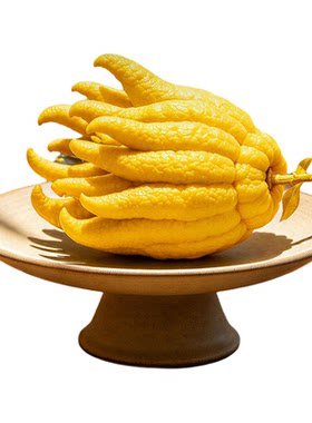 史丹利佛手柑绿植盆栽桌面鲜果室内香薰摆件新鲜闻香车载天然大果