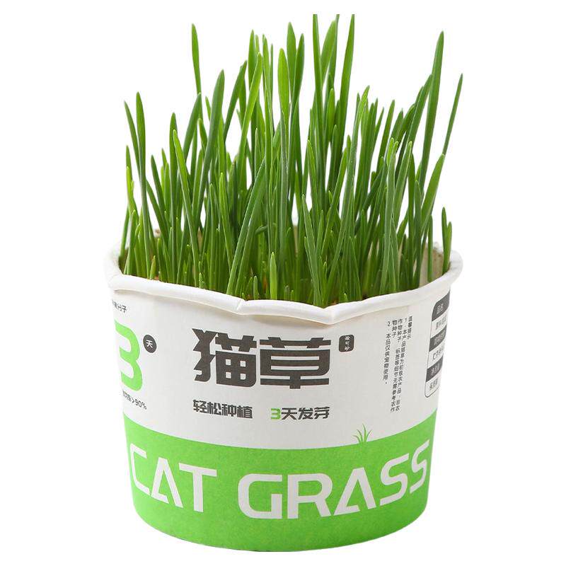 鹦鹉麦芽草粮大麦种子鸟草盒