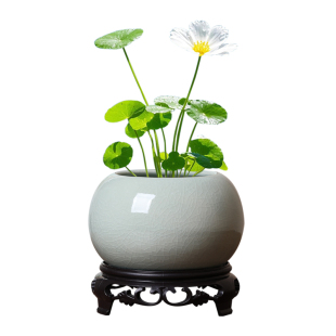 陶瓷哥窑开片陶瓷水培小花盆无孔花钵绿植容器小清新桌面花器清仓