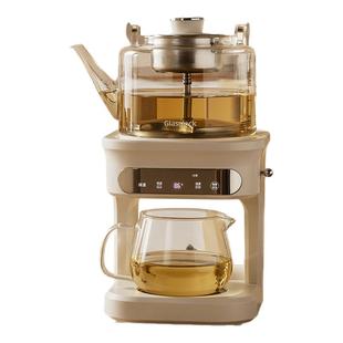 Glasslock盖朗蒸汽喷淋煮茶器全自动茶饮机多功能自动上水养生壶