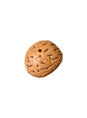 精选野生山桃核散装菩提