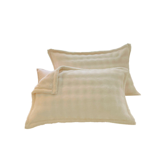 牛奶绒枕巾加厚一对装兔毛绒枕头巾防头油可固定成人家用2025新款