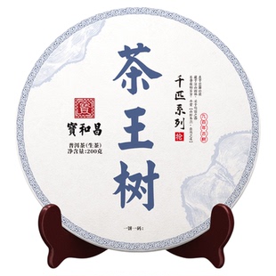 刮风寨【茶王树】云南古树茶普洱生茶2020年头春茶叶200g生普洱茶