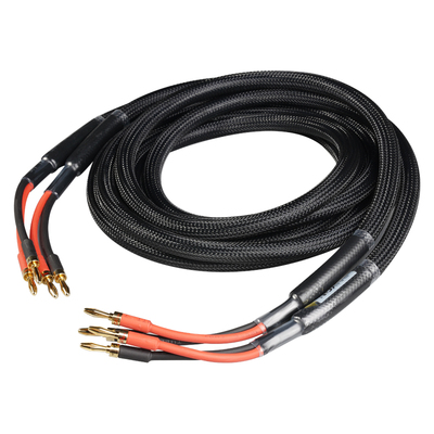 派扬p8581发烧hifi音箱线通透