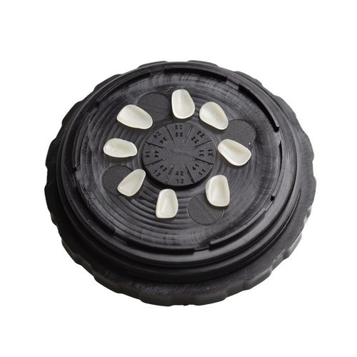 15瓷贴面处理盒遮光清洗盒盒储存盒贴面全贴面预处理牙牙齿瓷