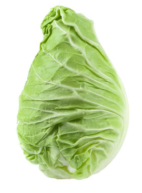 各种甘蓝苗包菜苗四季带土