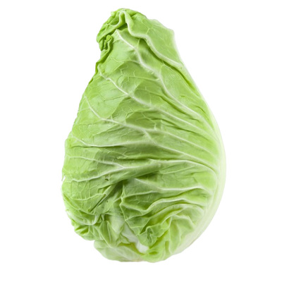 各种甘蓝苗包菜苗四季带土